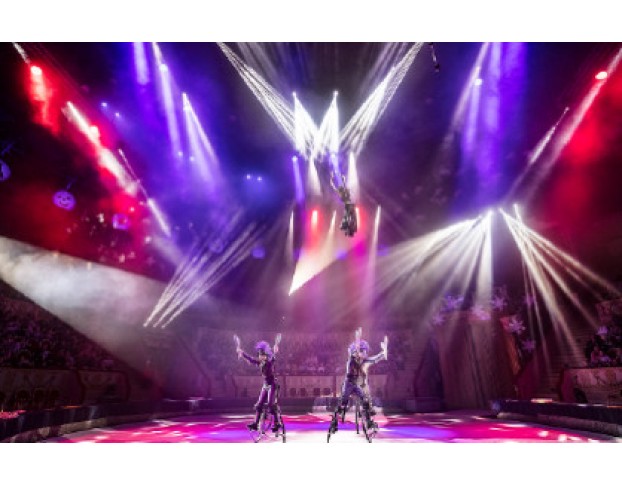 Новогодняя Ёлка в Цирке