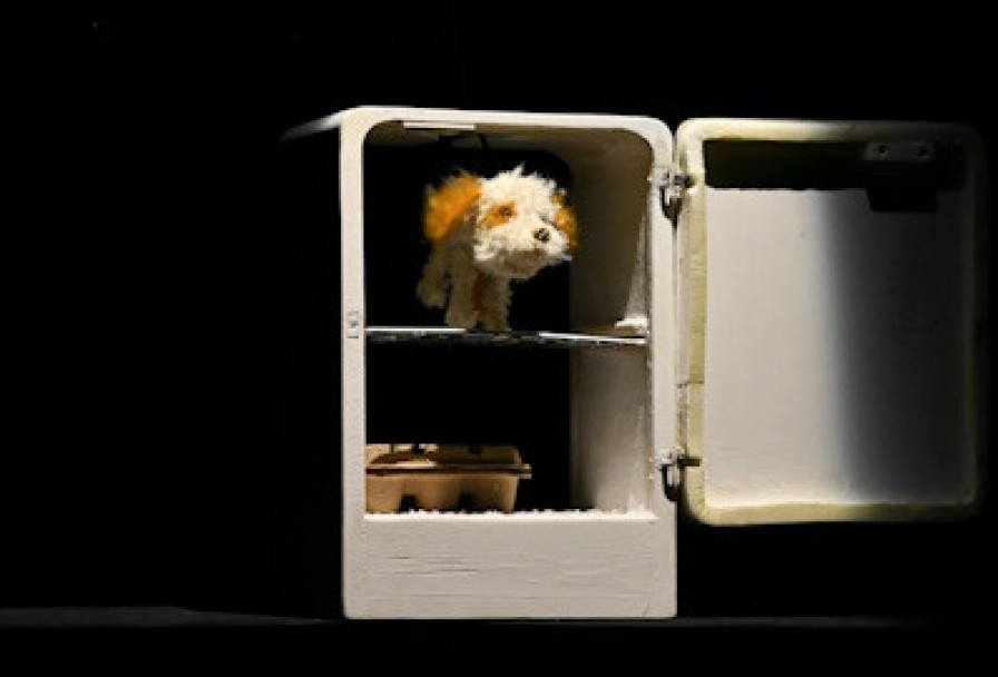 Умная Собачка Соня