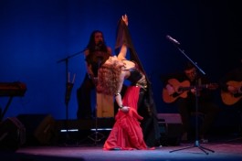 Дрома Ромэн