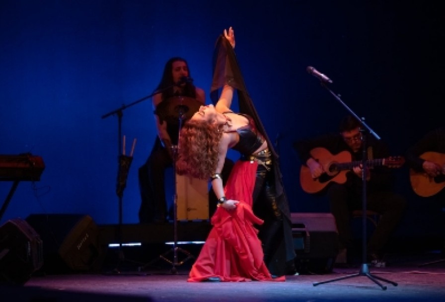 Дрома Ромэн