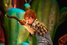 Вождь Краснокожих