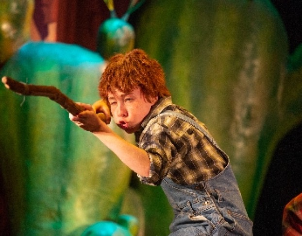 Вождь Краснокожих