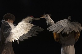 Журавль и Цапля