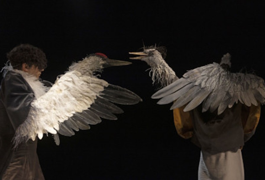 Журавль и Цапля