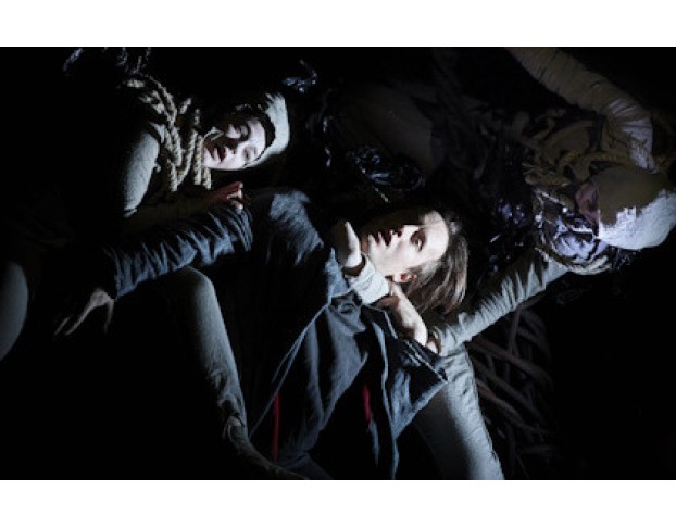 Д.алигьери Божественная. Вариации