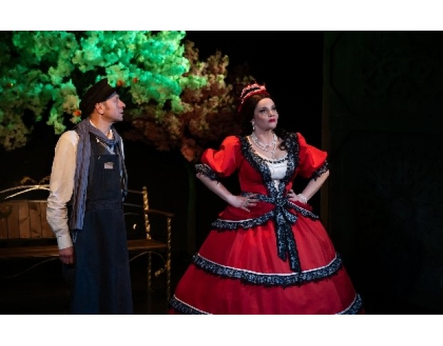 Женитьба Бальзаминова