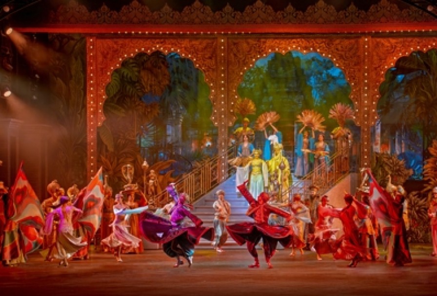 Фиалка Монмартра