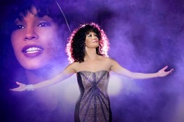 Уитни Хьюстон Шоу