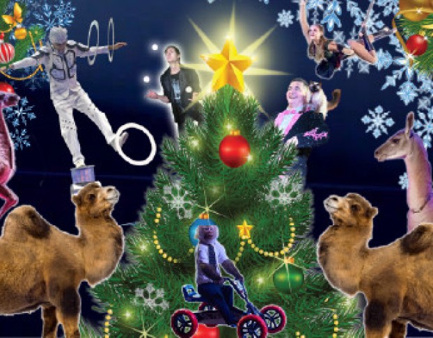 Новогодняя Ёлка в Цирке