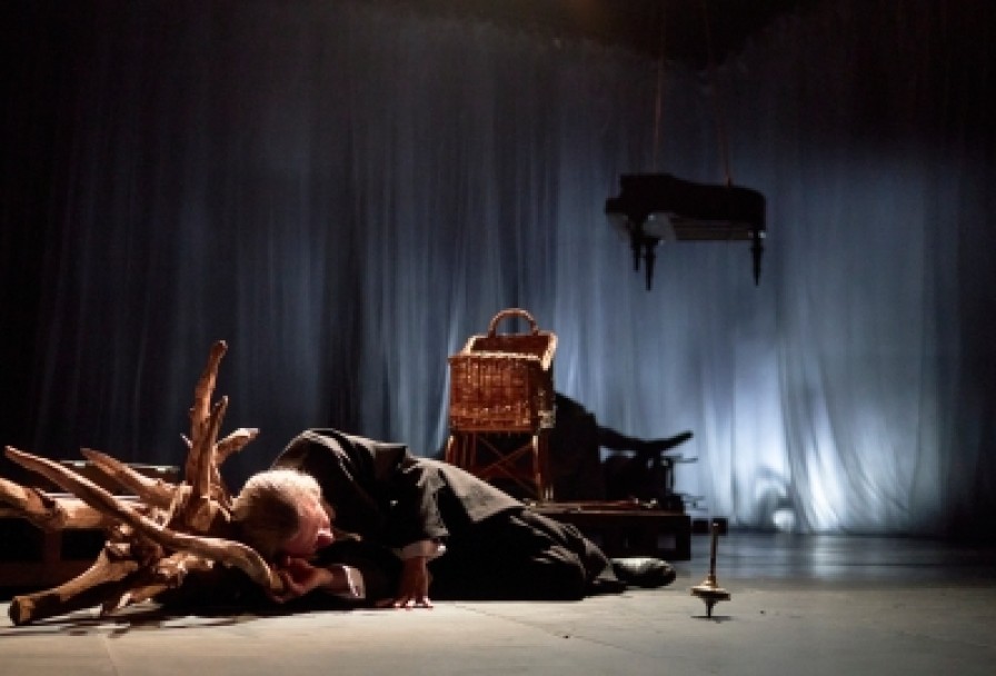 Вишневый Сад. а.п. Чехов