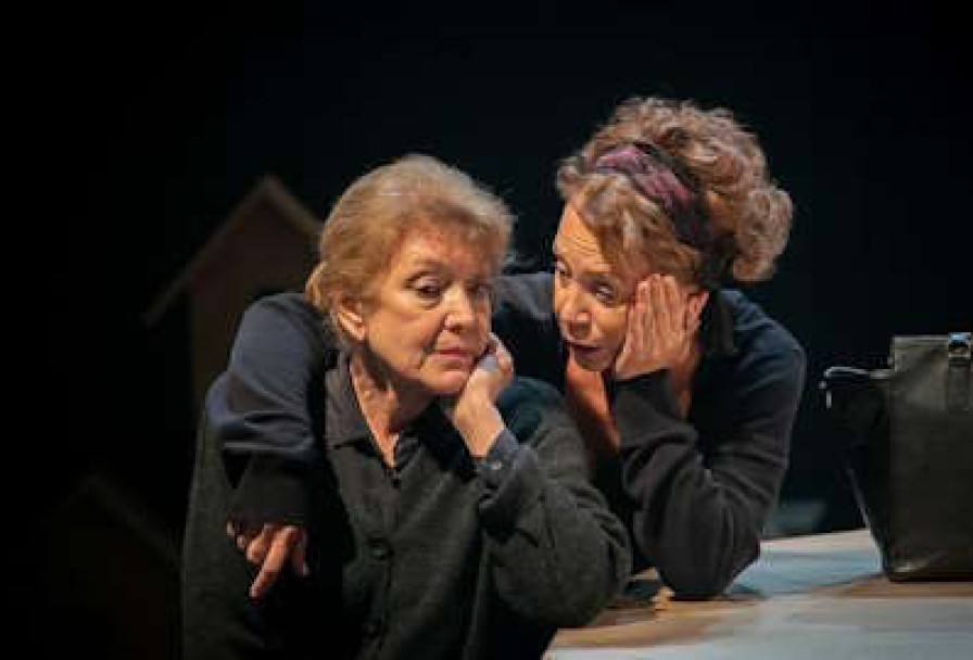 Земля Эльзы