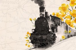 Поезд Жизни