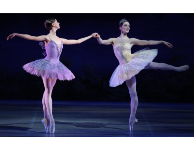 Спящая Красавица