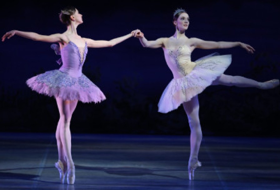 Спящая Красавица