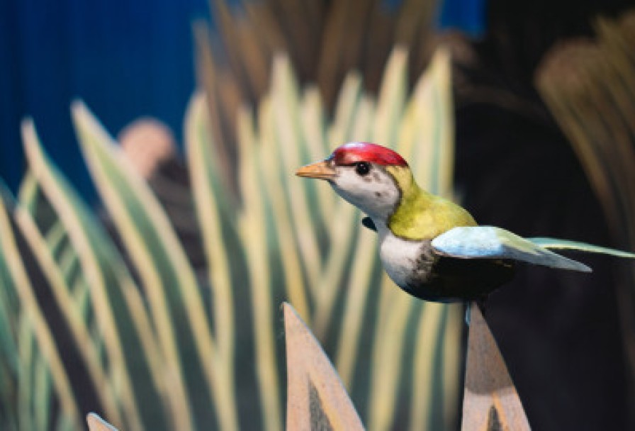 Рикки-Тикки-Тави