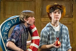 Приключения Тома Сойера