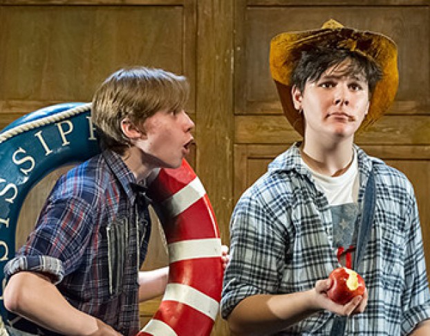 Приключения Тома Сойера