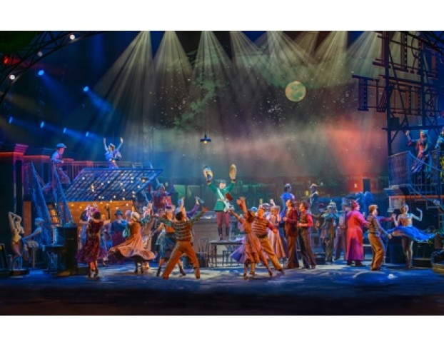 Фиалка Монмартра