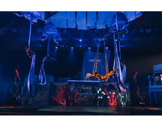 Театрализованное Цирковое Шоу Сны Пушкина. Новогодние Показы