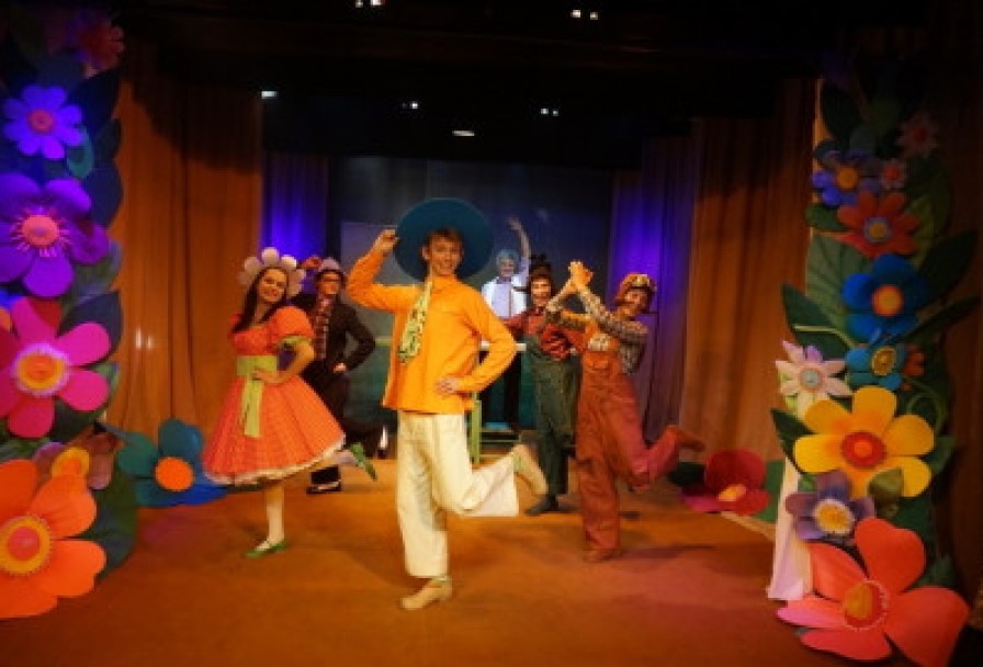 Приключения Незнайки