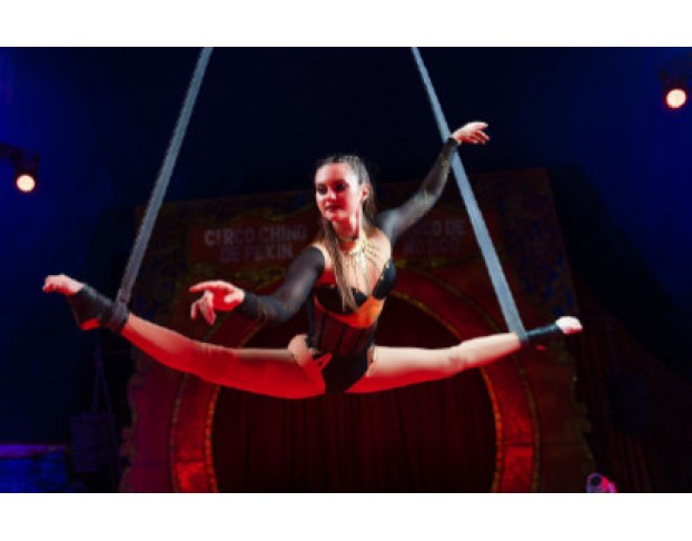 Новогодняя Ёлка в Цирке