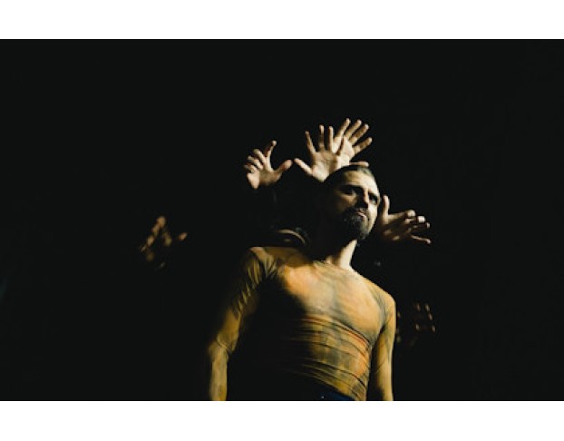 Живые Картины