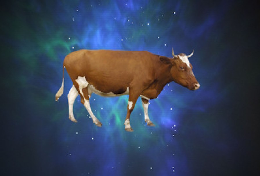 Чудо, или как Корова Спасла Театр