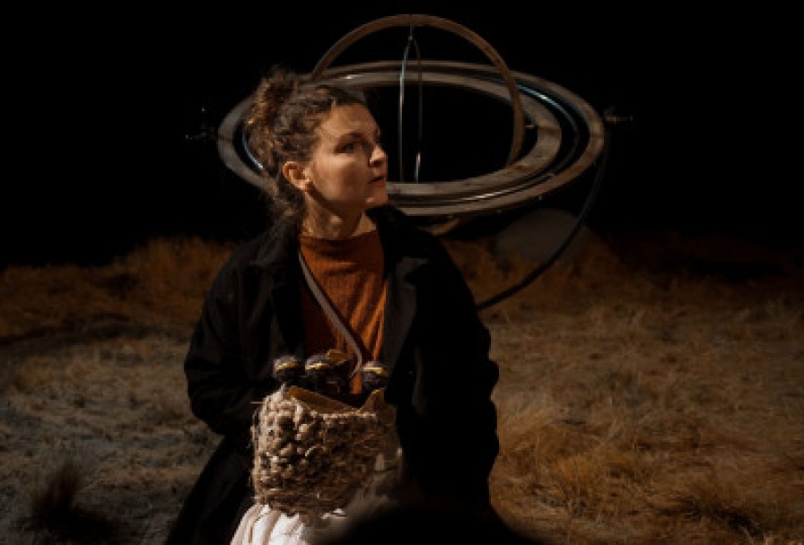 Дневник Ласточки