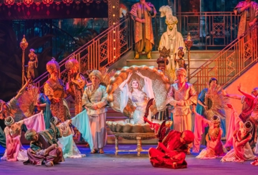 Фиалка Монмартра