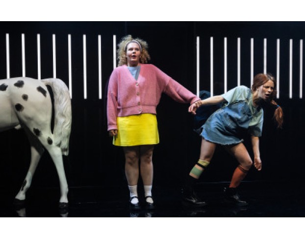 Здравствуйте, Астрид