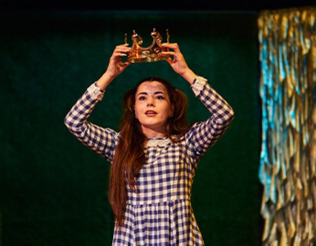 Алиса в Зазеркалье