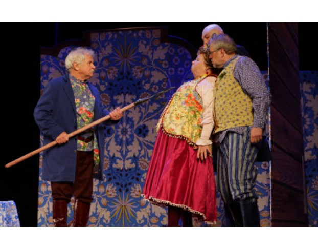 не в свои Сани не садись