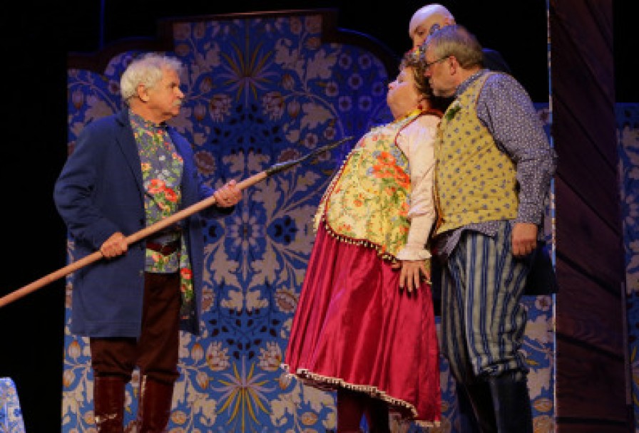 не в свои Сани не садись