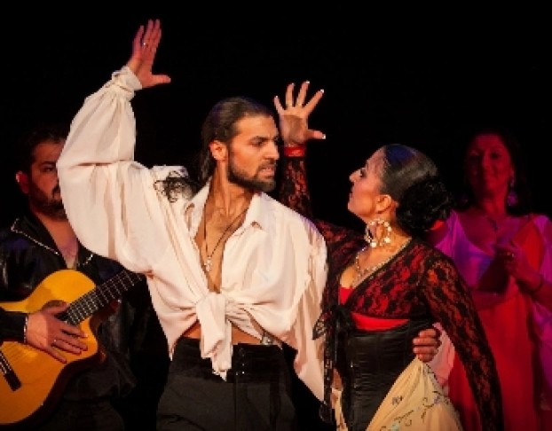 Мы – Цыгане