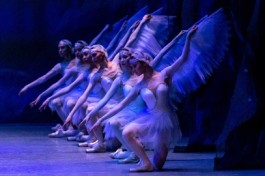 Дорога Лебедей. Балет. а. П. Галкин