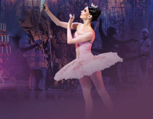 Спящая Красавица