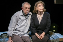 Земля Эльзы