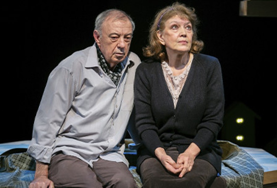 Земля Эльзы