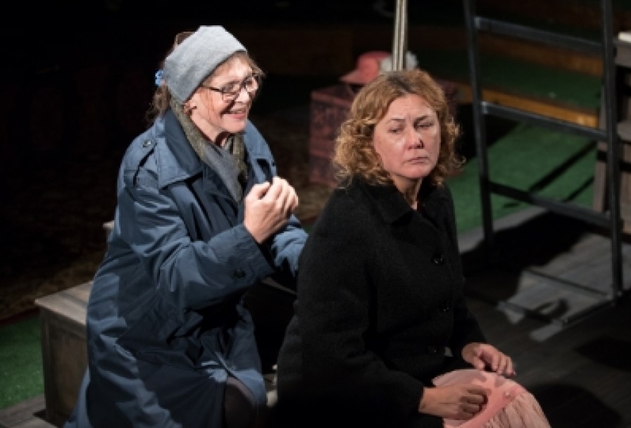 Земля Эльзы