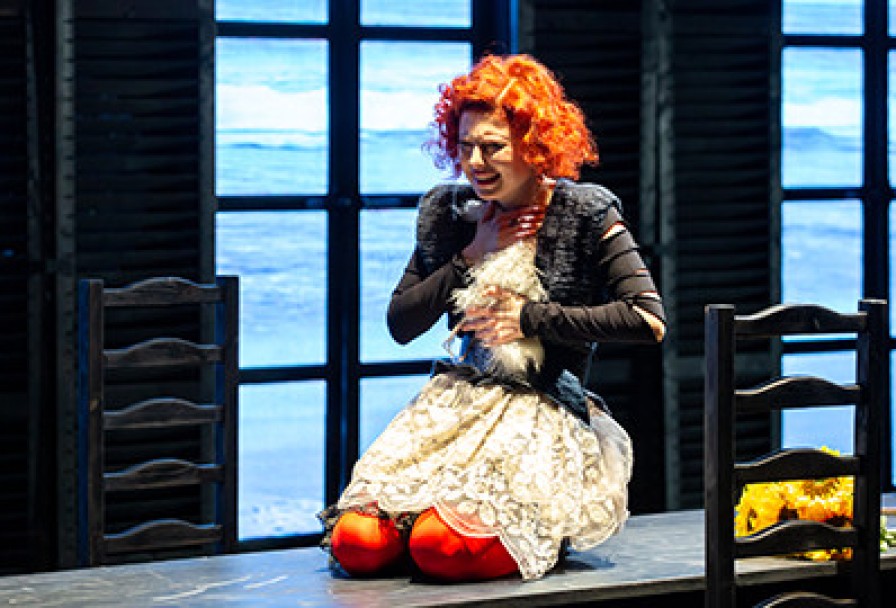 Коллекционер