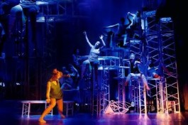 Жилец Вершин