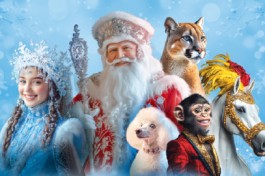 Елка в Цирке