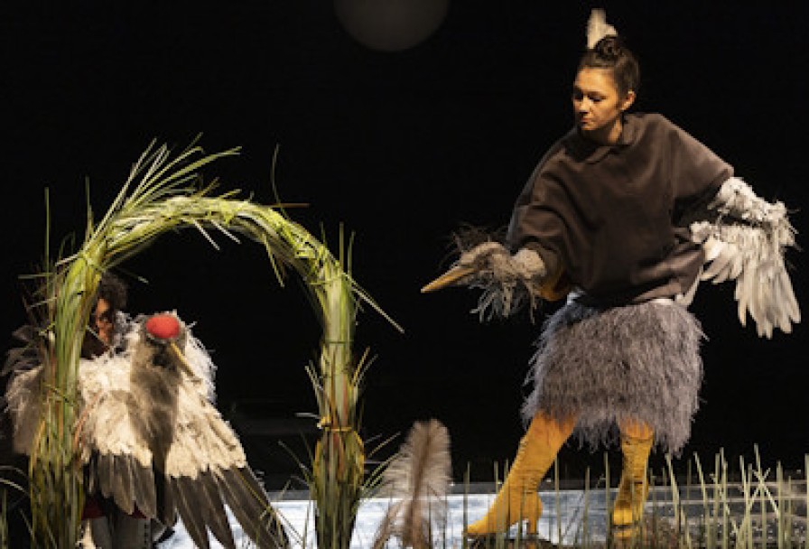 Журавль и Цапля