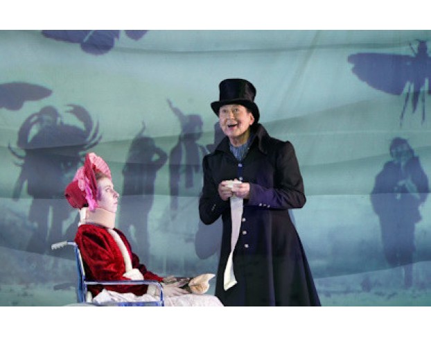 Синяя Птица