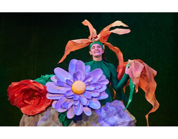 Алиса в Зазеркалье