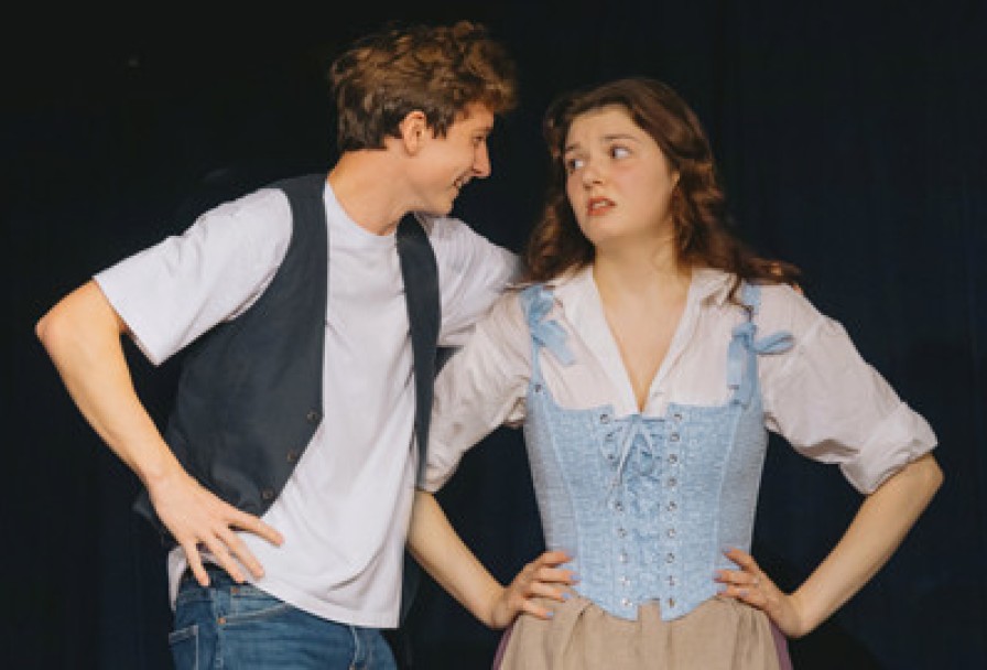 Слуга Двух Господ