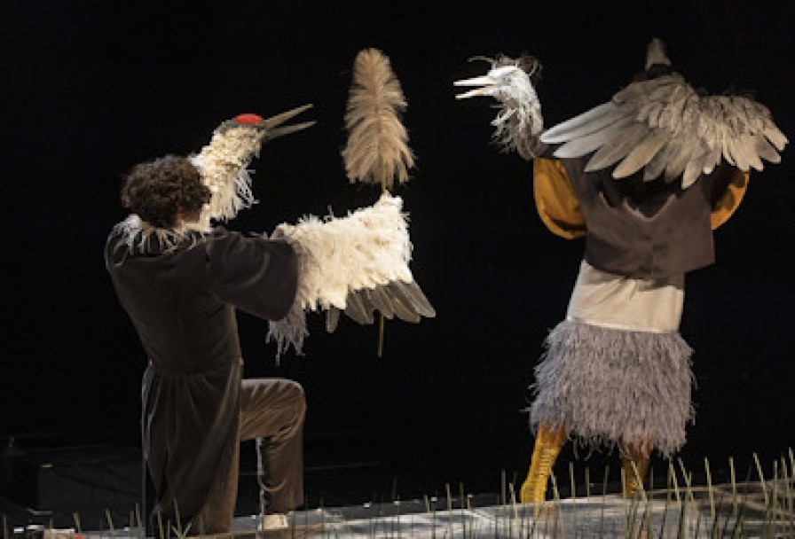 Журавль и Цапля