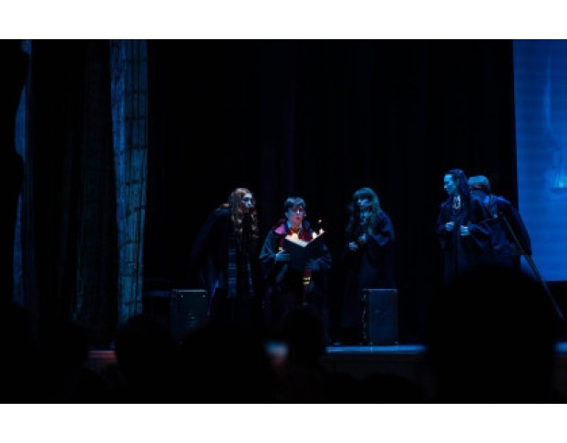 Гарри Поттер Турнир Трёх Волшебников