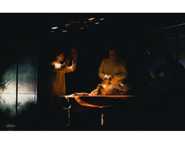 Собачье Сердце