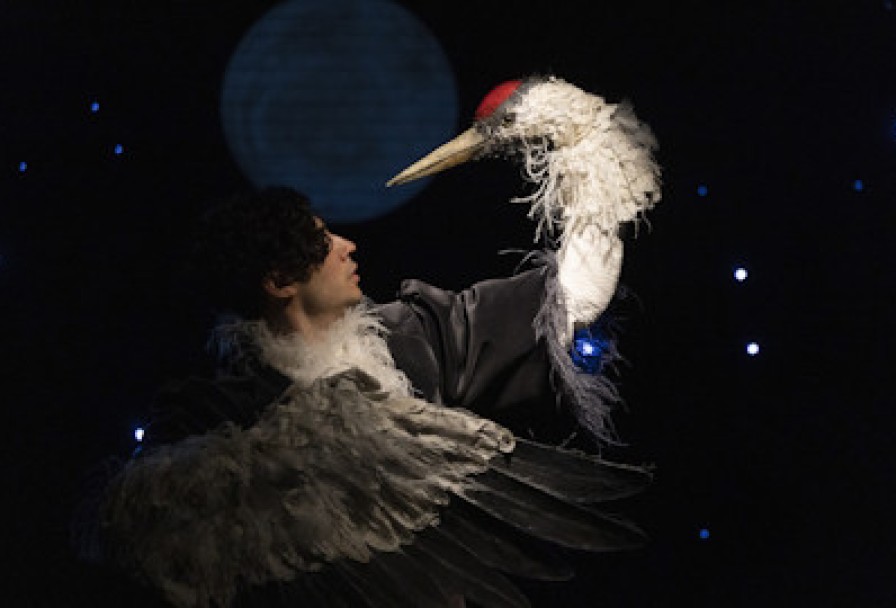 Журавль и Цапля